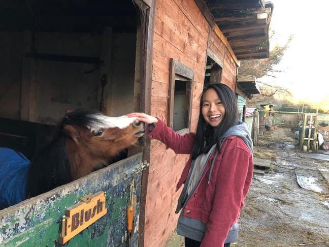 28yo working female looking for room in SE London Main Photo