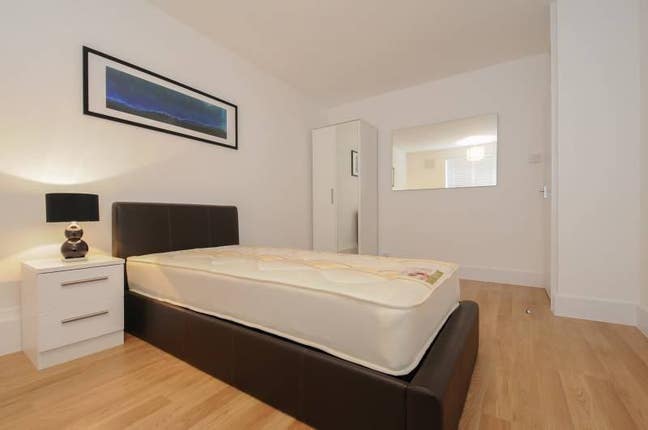 Double rm Prof Share. ALL bills,wi-fi,cleaner,TV's Main Photo
