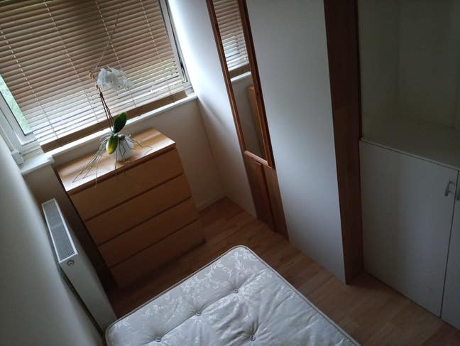 Girl's single room Battersea  zone 2 Main Photo