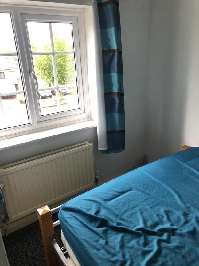 Single Room for Female Main Photo