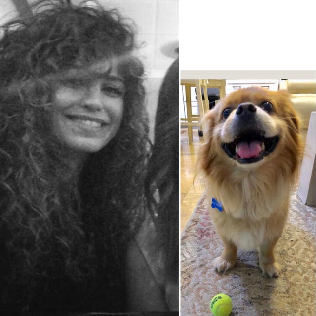  SW buddy up with senior dog Main Photo