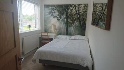 Quiet double room in flat just north of Chichester Main Photo