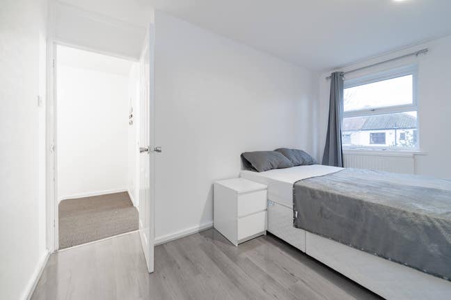 Bright and Spacious Rooms  Main Photo