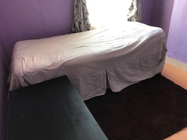 Friendly. House Share with Working Female Main Photo