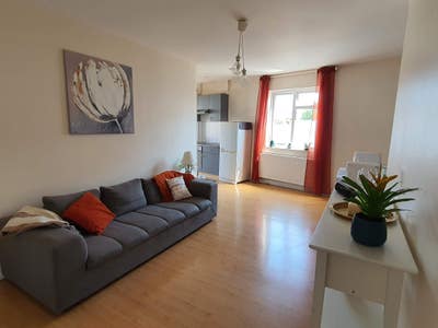 Colliers Wood - large bright King room  Main Photo