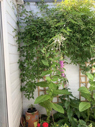 Small single room in spacious bungalow  Main Photo