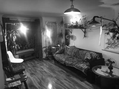 Looking to offer spare room  Main Photo
