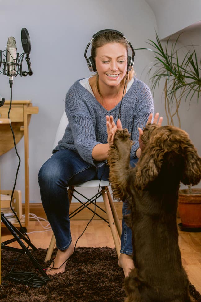 Clean & tidy dog trainer with an 8 year old dog Main Photo