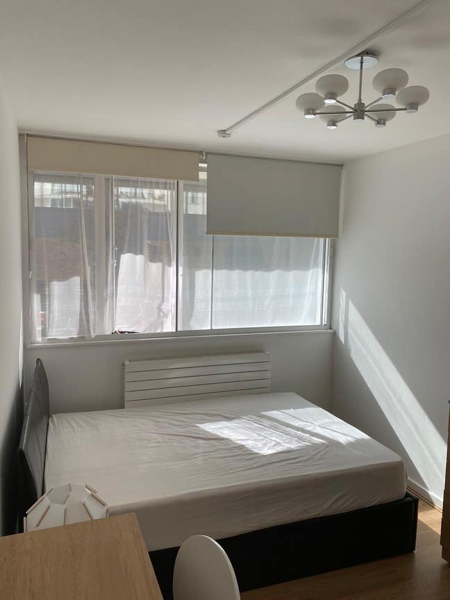 Double room in Bloomsbury  Main Photo