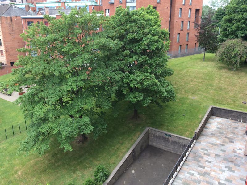 pic One Bedroom Flat Glasgow City Centre rent glasgow city centre lanarkshire