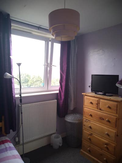 Single Room  (Professional Female) Main Photo