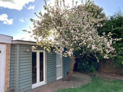 Private Studio Incl. Bills, Gardening, Cleaning Main Photo