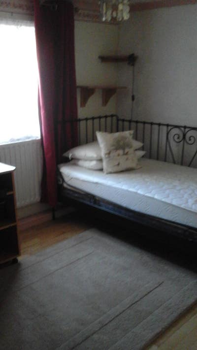 Large single room available  Main Photo