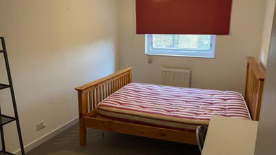 Bright Room in Clapham Juntion  Main Photo