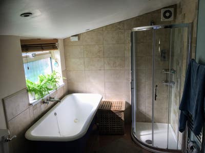 Room in Victorian property on a quiet, leafy road. Main Photo