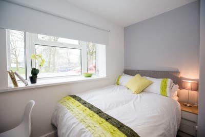 En-Suite Room - All Bills Incl - AMAZING!!! Main Photo