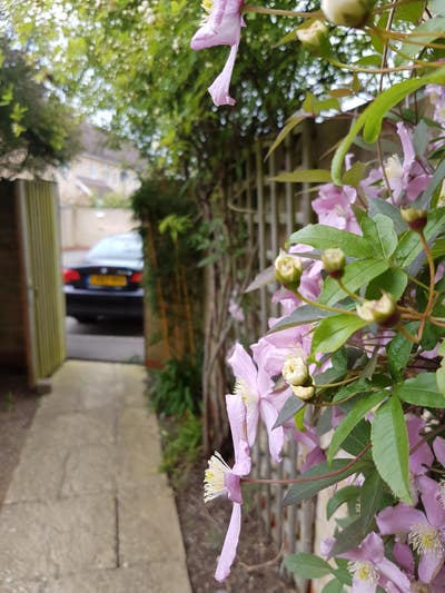 Lovely double room bills inc & parking Main Photo