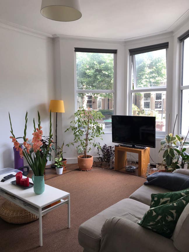 1 Double Room Available Main Photo