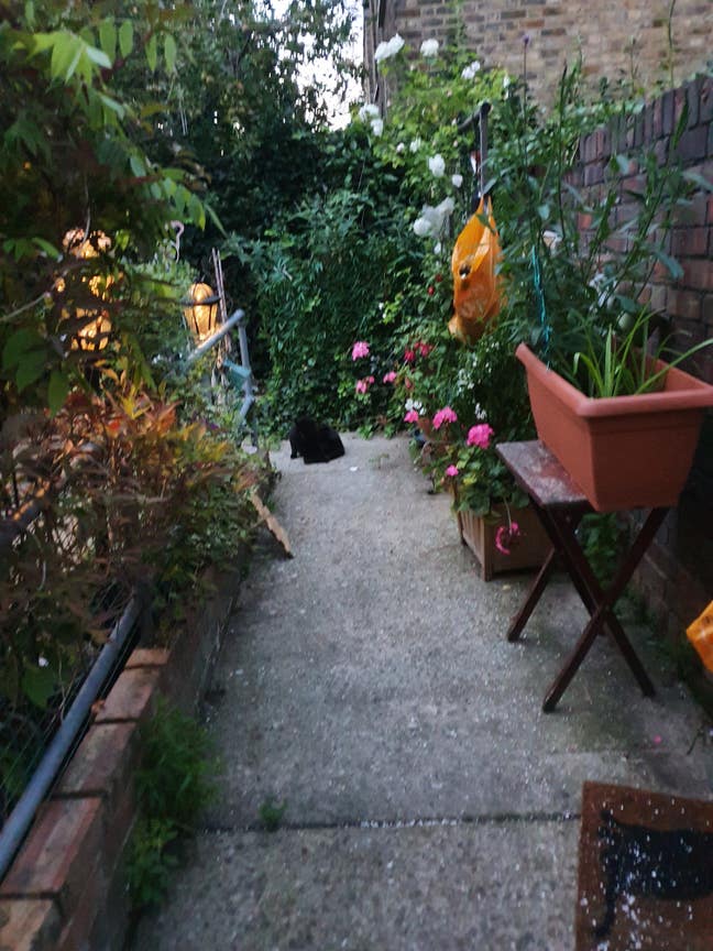 Bright clean room available Main Photo