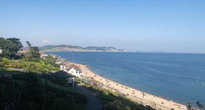 Room for 1 in lovely shared house Lyme Regis  Main Photo