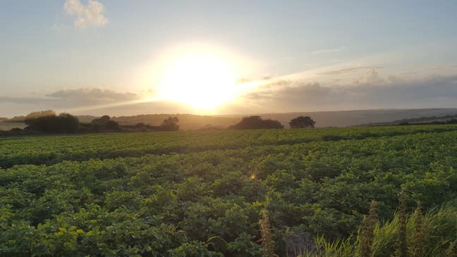 Desperately looking for accomodation...  Main Photo