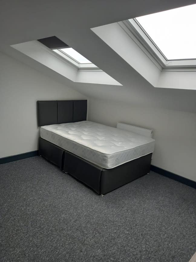 As good as it looks - Exceptional House Share Main Photo