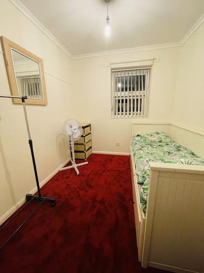 Furnished Single Room - Near University  Main Photo