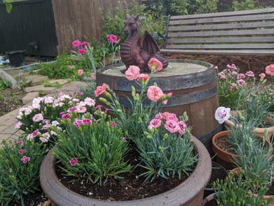 Room in rural village house with garden.  Main Photo