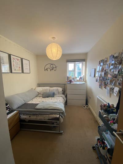 Double room in sociable house near city centre  Main Photo