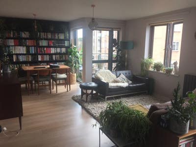 Spacious, sunny room in W6 apartment (MON-FRI) Main Photo