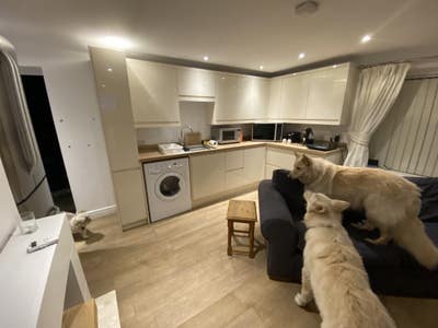 Self contained annex Main Photo