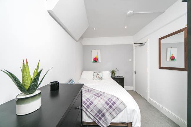 Lovely Double Room in Central Reading Main Photo