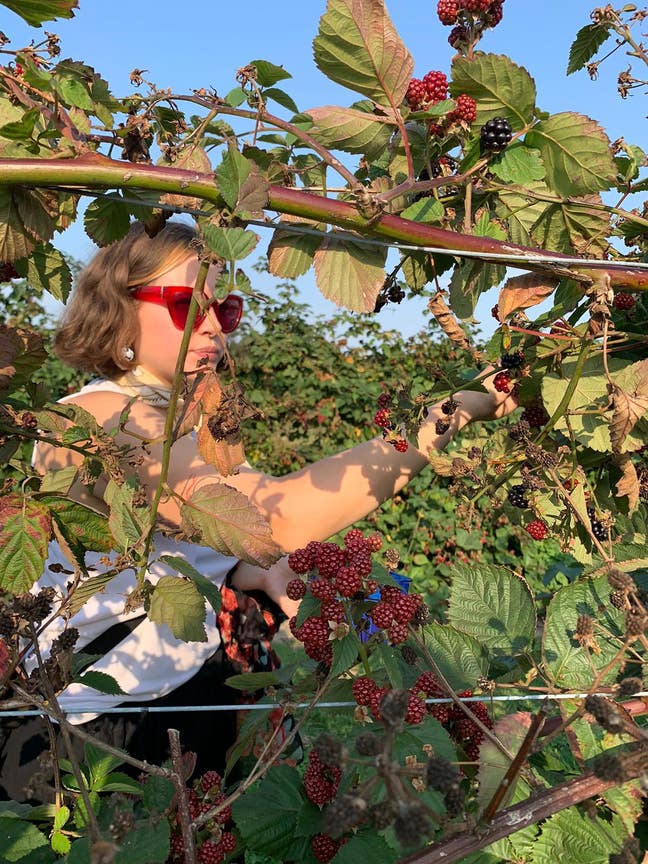 Looking for a double room in a cosy home!  Main Photo