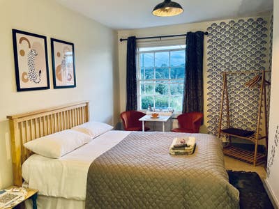 Beautiful Spacious Suite Main Photo