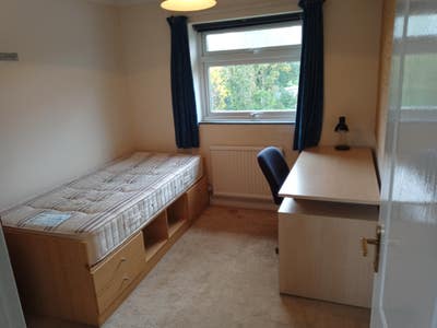 Large single room in clean lovely house.Impington. Main Photo