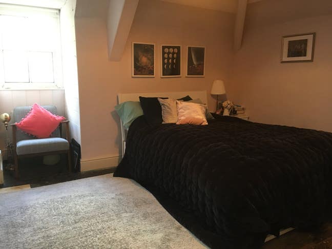 Double room in lovely central Totnes flat Main Photo