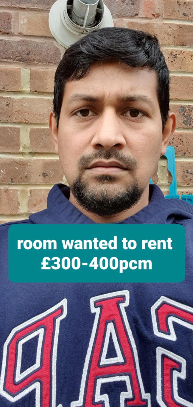 Room wanted  Main Photo