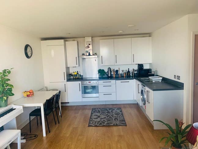  double  room  is  available   female preferred Main Photo