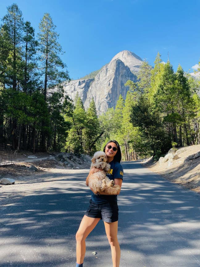 Mature professional (F34) seeking flatshare Main Photo