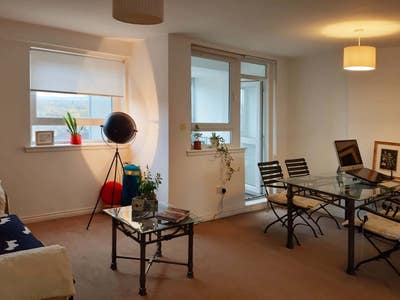 Looking for flatmate  Main Photo