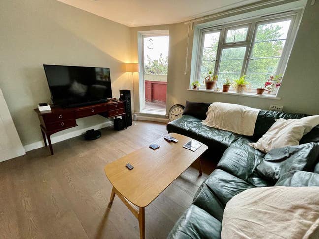 Super nice housemates! Two rooms for price of One! Main Photo