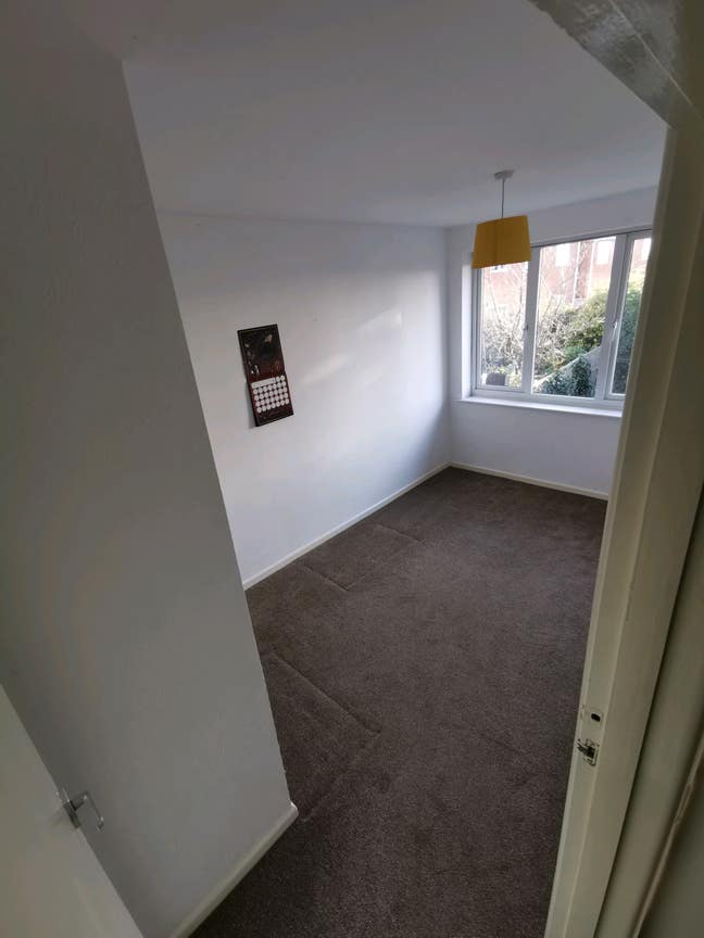 1 room for rent ws10 Main Photo