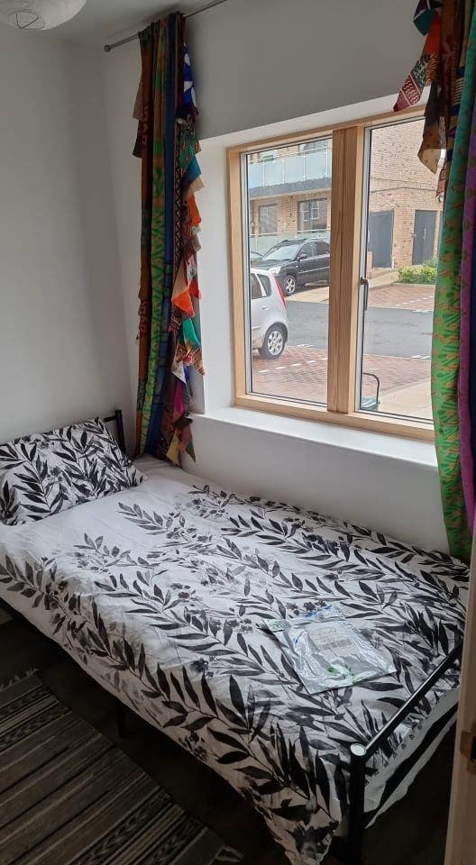 Vegan only single room in friendly houseshare Main Photo