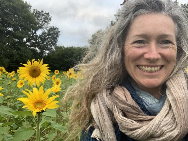 Inviting in light spacious room / whole house  Main Photo