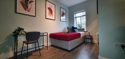 Double Room (Single Occupancy) – OL4  Main Photo