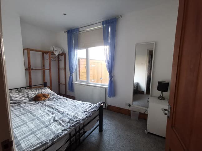 Double room in lovely flat with very friendly cat! Main Photo