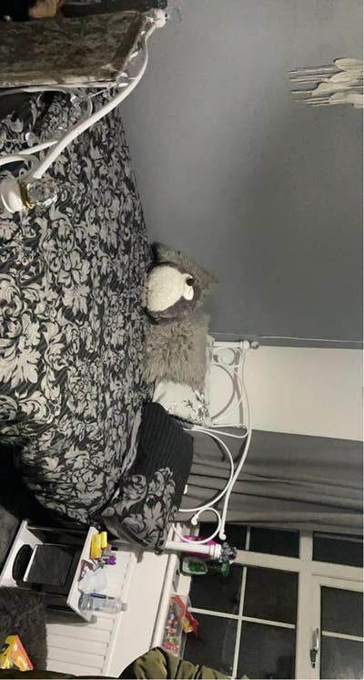 Ss8 room to rent we go that extra mile Main Photo