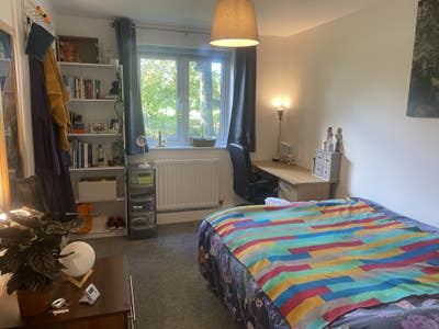 Chiswick River TV room Main Photo