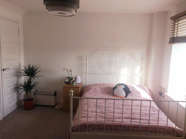 Large Double bedroom to let in Trump/Addenbrookes Main Photo