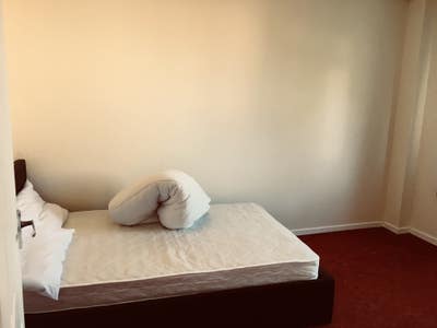 Large Double Room for Rent - Bills all included Main Photo